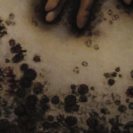 Il mio corpo mi tradisce80x80 copia
